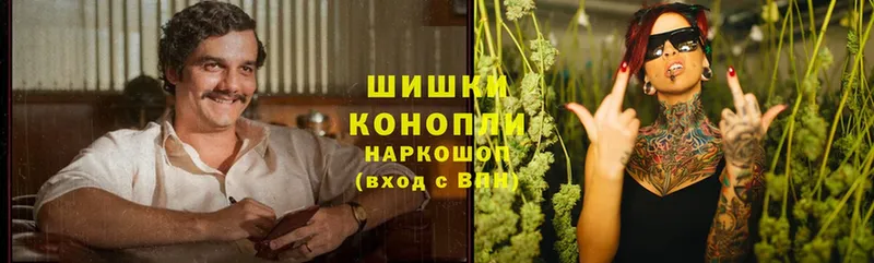 где купить наркотик  Богородицк  Канабис LSD WEED 